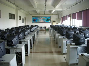 06級(jí)測(cè)控技術(shù)與儀器專(zhuān)業(yè)學(xué)雷鋒活動(dòng)總結(jié)